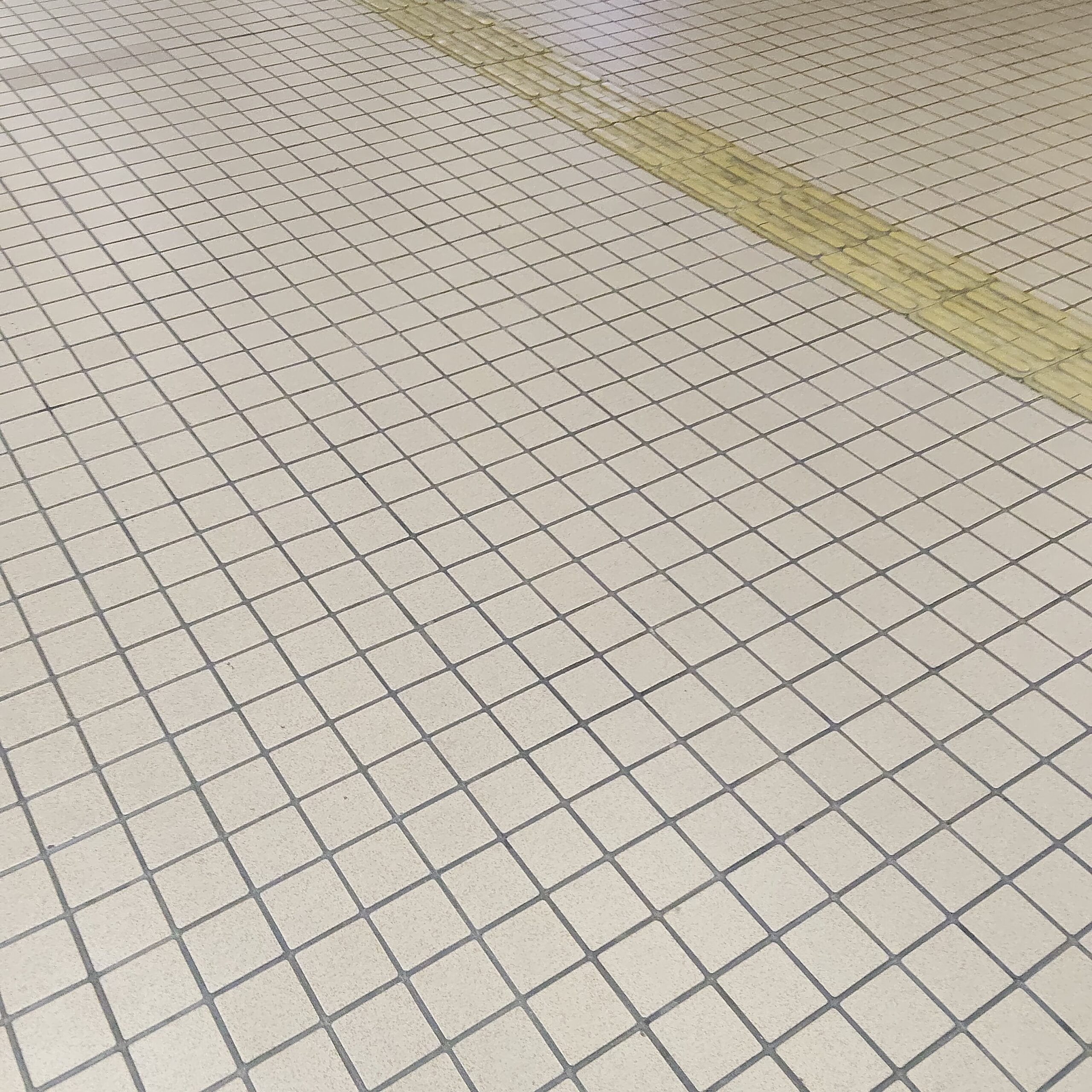 【4.22 日記】平日8時台の電車は危険があぶない