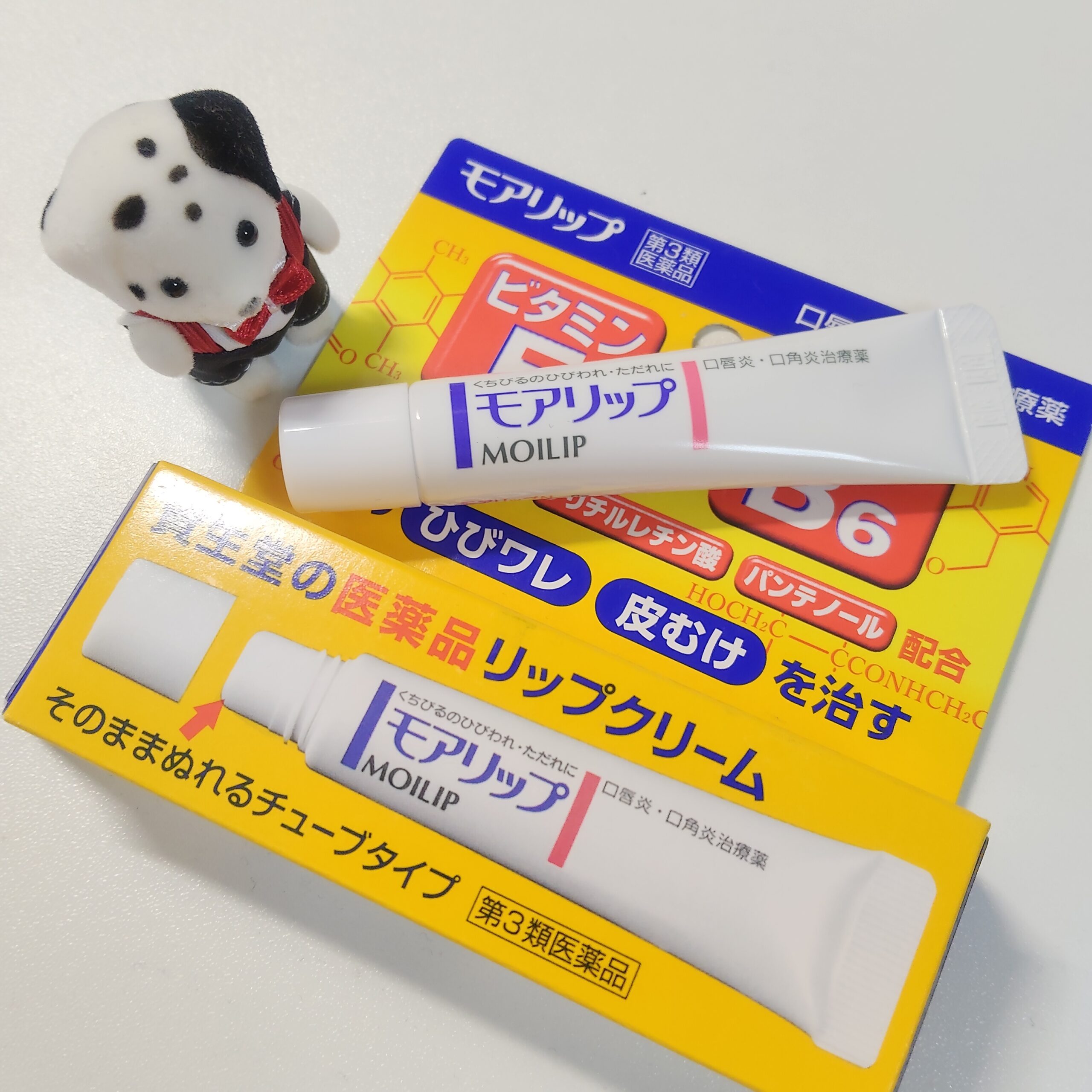 【5.2 日記】ガサガサリップにご用心
