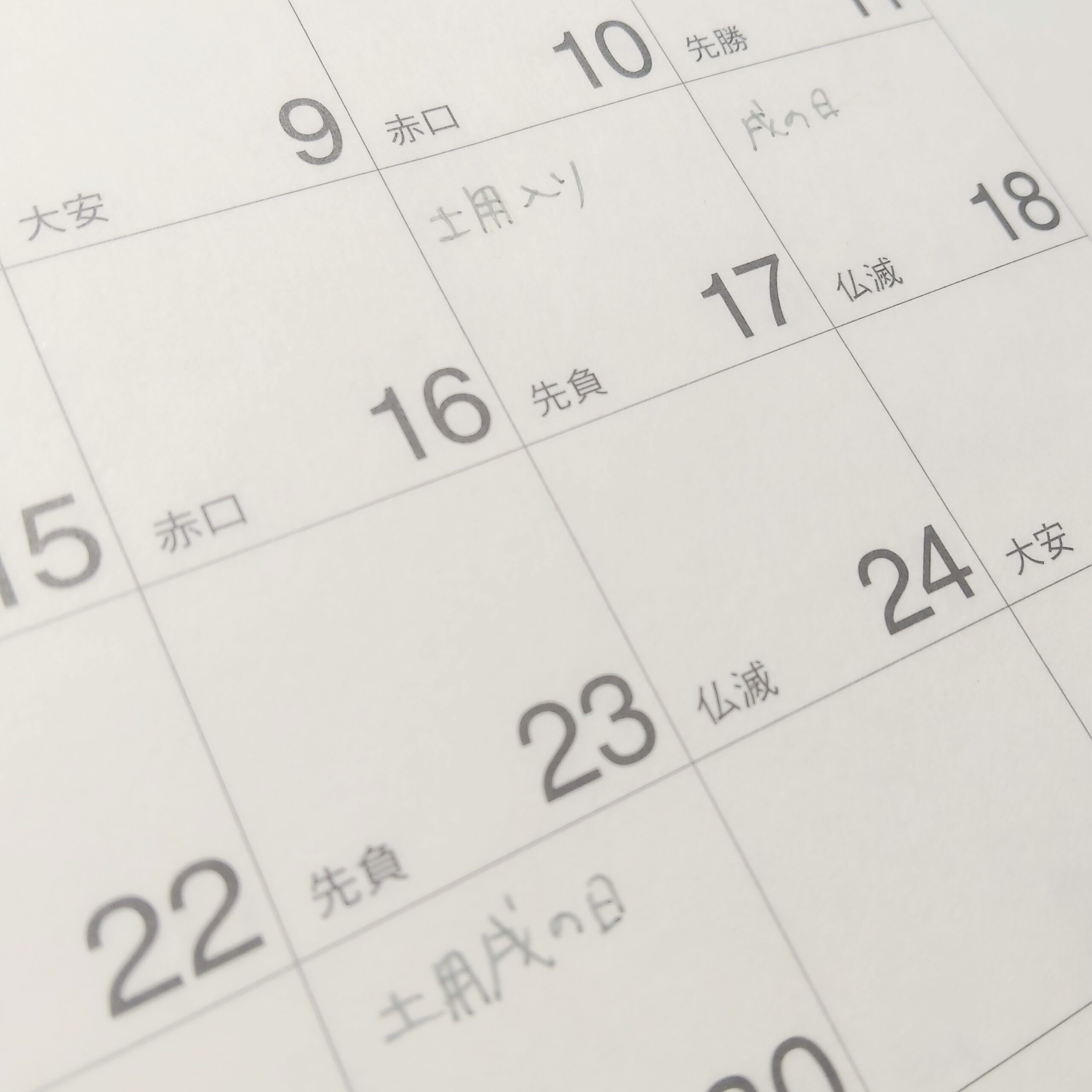 【4.25 日記】いつのまにやら春土用！ギャッ！！