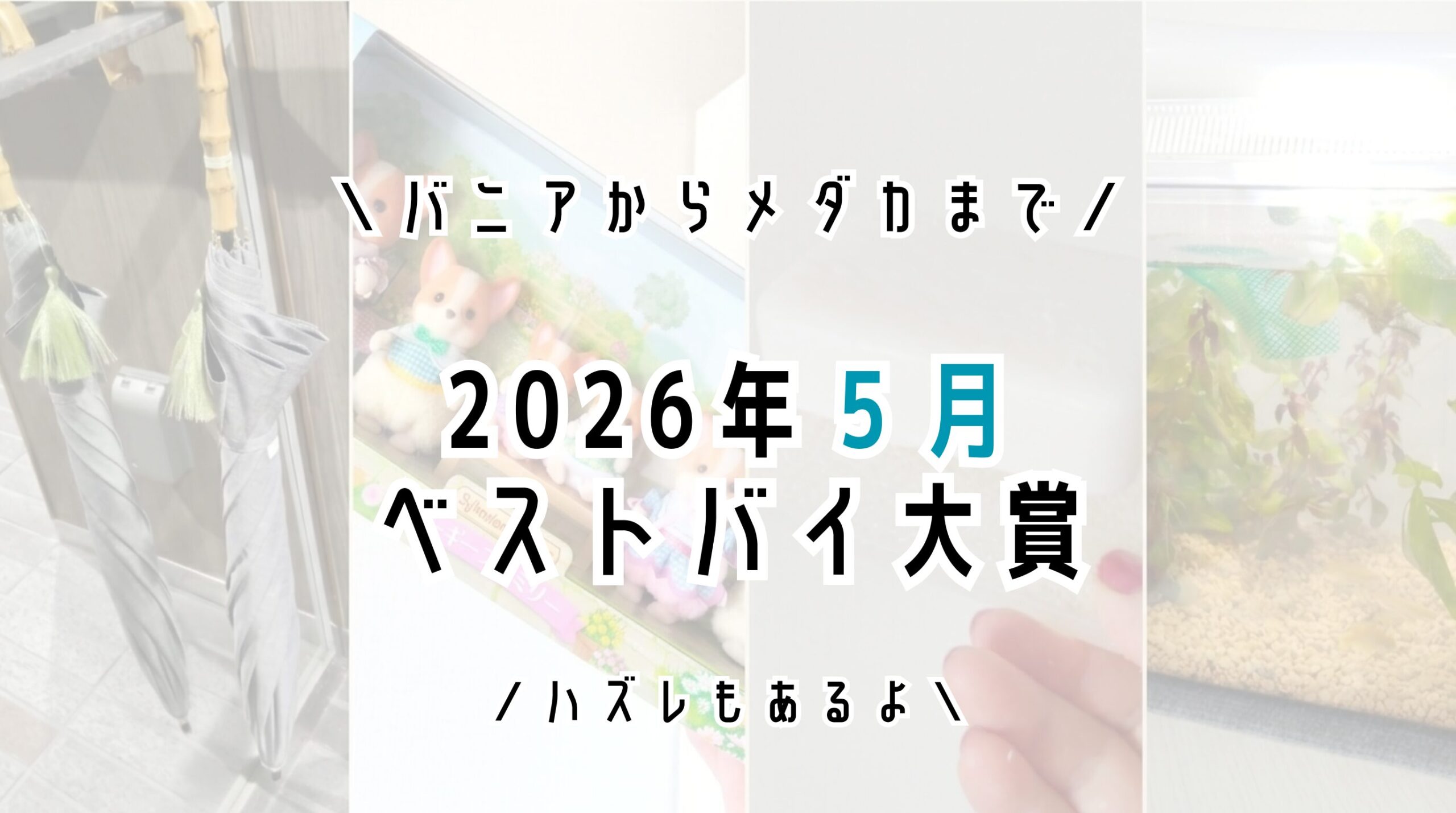 【バニア】2026年５月の買ってよかったもの4選＆ふりかえり【メダカ】