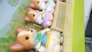 【シルバニ コーギーアファミリー】推しが家に来た日【泣いた】