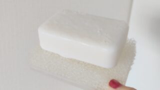 食器洗いにせっけんを使う提案（可決）