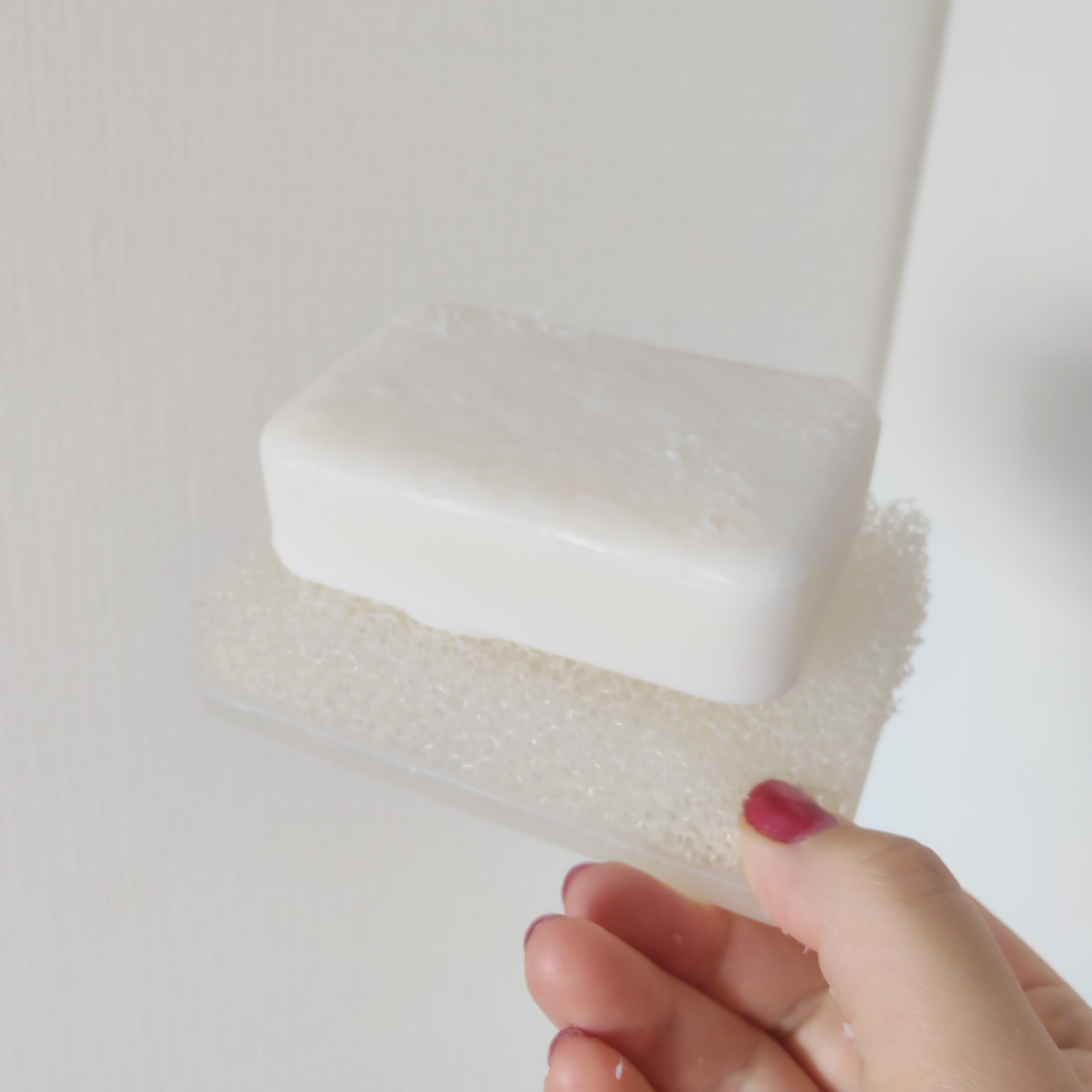 食器洗いにせっけんを使う提案（可決）