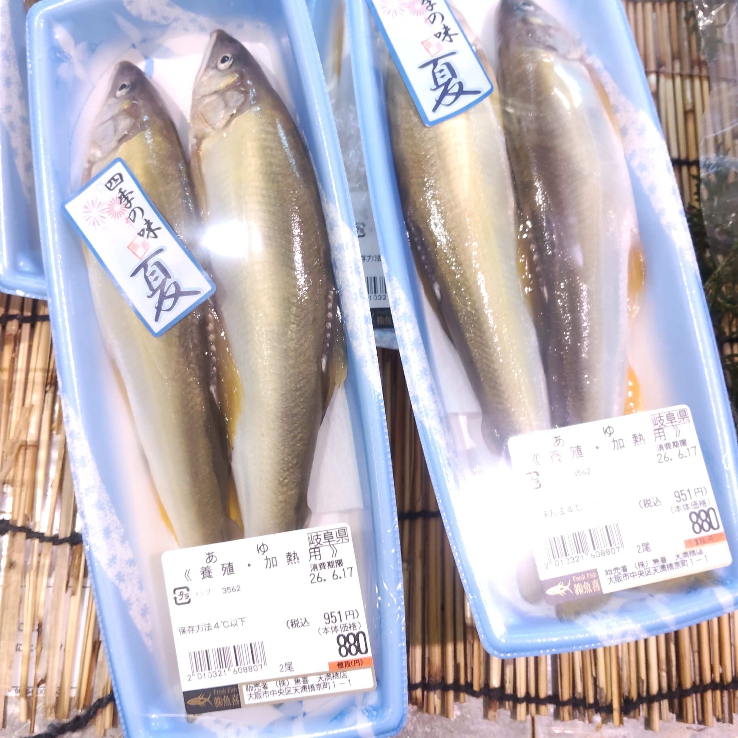 【6.19 日記】土地が違えば高級魚…鮎って高いのねん！？