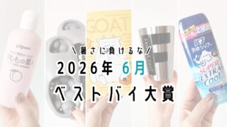 【あせも】2026年6月の買ってよかったもの5選【スリッパ】