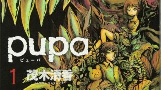 【緊急】愛欲のるつぼ　pupa読書感想文【ネタバレなし】