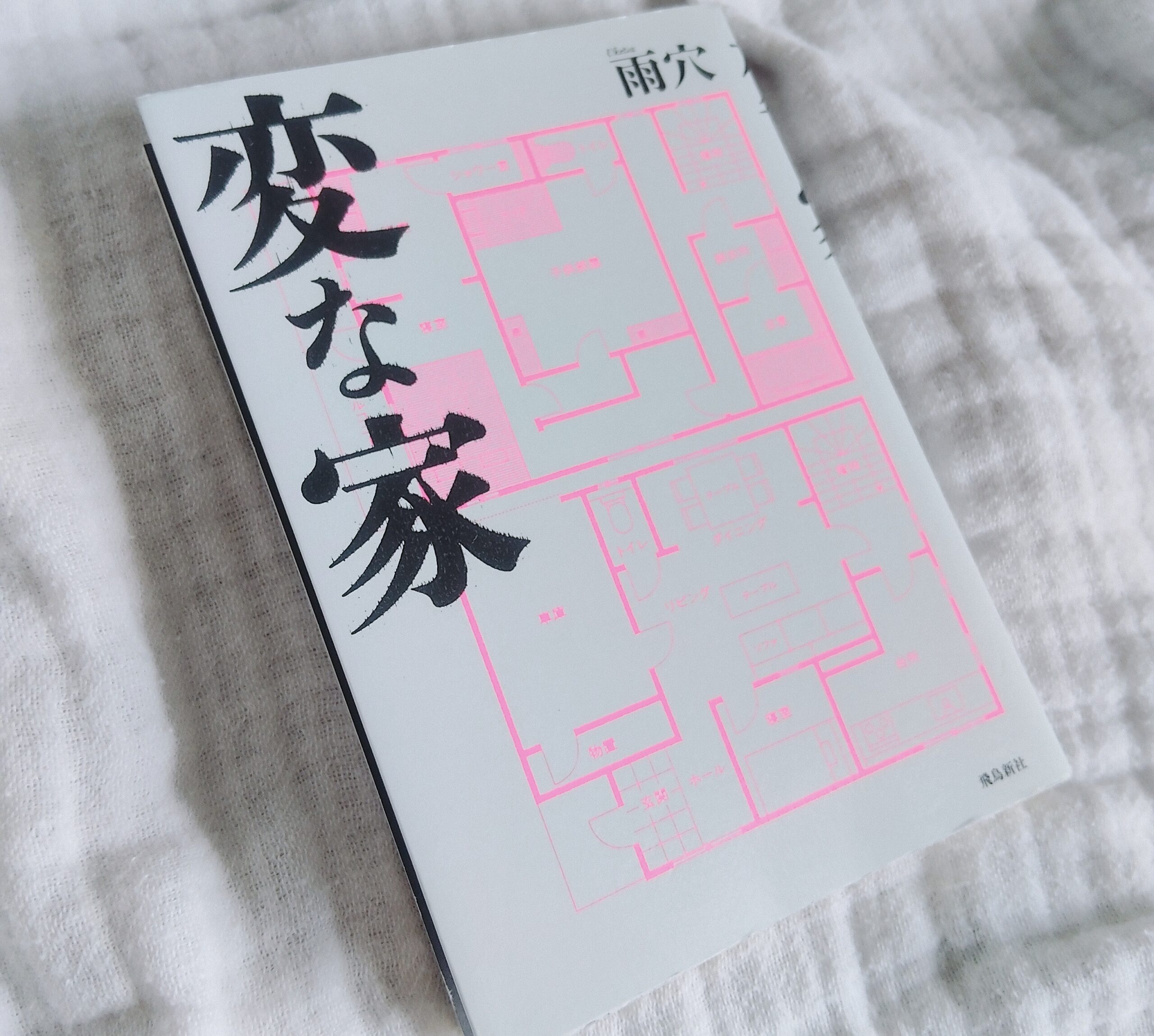 【読書感想文】　変 な 家　【なにがわかる？】ネタバレなし