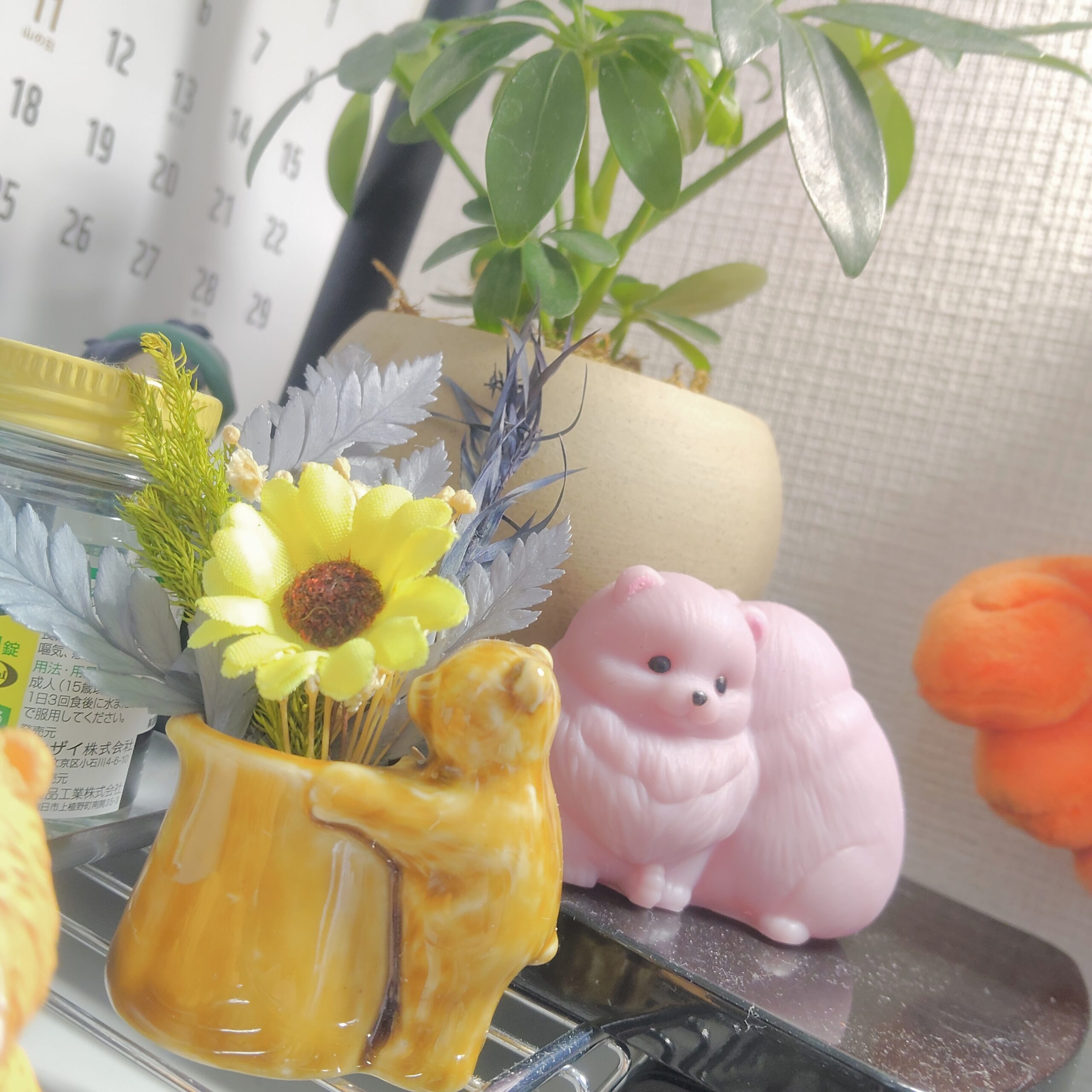【7.21 日記】部屋の緑もまた修行なり