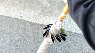 【9.28 日記】朝、窓から秋忍者きたぞ