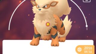 この世界でポケモン3匹連れていいなら誰にするか問題2025