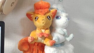 ポケモン30周年と小二の私の思い出