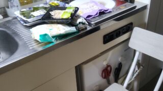 ホタルイカ　茎ワカメ　椅子に座ってどっしりと